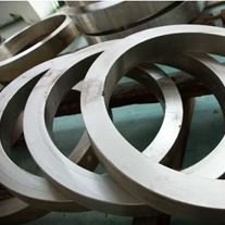 Duplex/Super Duplex Forged Ring & Circle