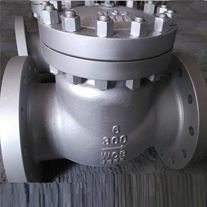 Check Valves